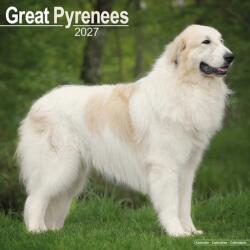 Great Pyrenees (ISBN: 9781806480500)