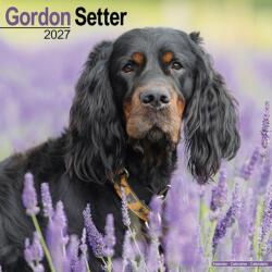 Gordon Setter (ISBN: 9781806480487)