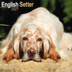 English Setter (ISBN: 9781806480395)