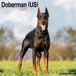 Doberman Us (ISBN: 9781806480364)