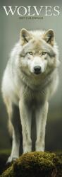 Wolves Slim (ISBN: 9781806482320)