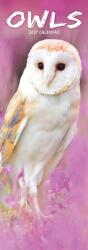 Owls Slim (ISBN: 9781806482306)