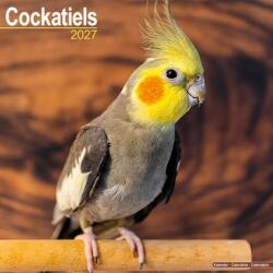Cockatiels (ISBN: 9781806481132)