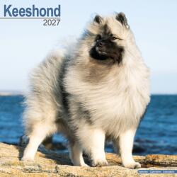 Keeshond (ISBN: 9781806480555)