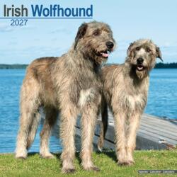 Irish Wolfhound (ISBN: 9781806480531)