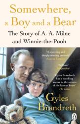 Somewhere, a Boy and a Bear (ISBN: 9780241582558)