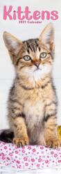 Kittens Slim (ISBN: 9781806482283)