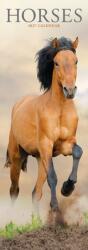Horses Slim (ISBN: 9781806482276)