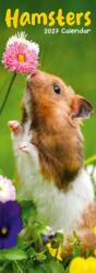 Hamsters Slim (ISBN: 9781806482269)