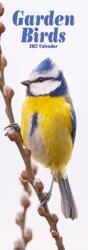 Garden Birds Slim (ISBN: 9781806482252)
