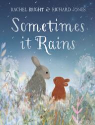 Sometimes It Rains (ISBN: 9781408369968)