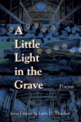 A Little Light in the Grave, Volume 48 (ISBN: 9781680034813)
