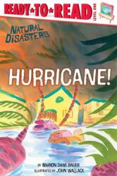 Hurricane! (ISBN: 9798347102921)