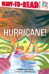 Hurricane! (ISBN: 9798347102914)