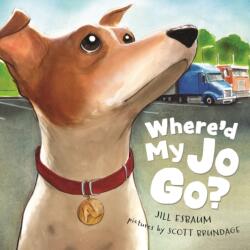 Where'd My Jo Go? (ISBN: 9781534110441)