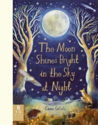 The Moon Shines Bright in the Sky at Night (ISBN: 9781835873472)
