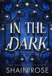 In the Dark (ISBN: 9781399749800)