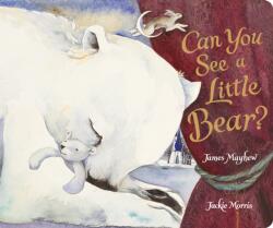 Can You See a Little Bear? (ISBN: 9781917865005)