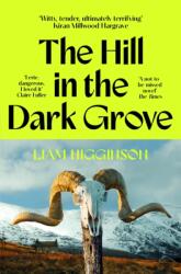 The Hill in the Dark Grove (ISBN: 9781035069446)