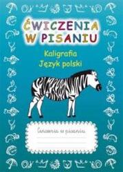 Ćwiczenia w pisaniu. Kaligrafia J. Polski (ISBN: 9788382606560)