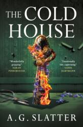 The Cold House (ISBN: 9781835414248)