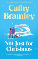 Not Just for Christmas (ISBN: 9781398713994)