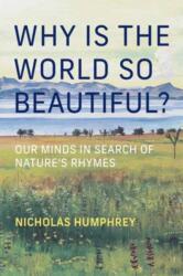Why Is the World So Beautiful? (ISBN: 9780262056588)