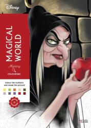 Mystery Colouring - Fairies, Wizards and Magicians (ISBN: 9782017378402)