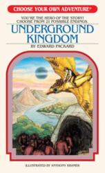 Underground Kingdom (ISBN: 9781937133191)