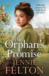 The Orphan's Promise (ISBN: 9781035428809)
