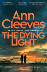 The Dying Light (ISBN: 9781529077797)