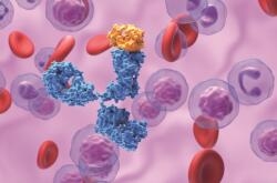 Systemic Anti-Cancer Therapy for Nurses (ISBN: 9781032850788)