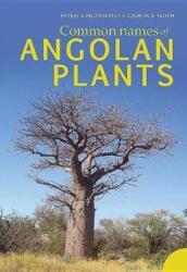 Common names of Angolan plants (ISBN: 9781485306801)
