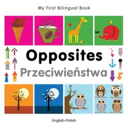 My First Bilingual Book - Opposites (ISBN: 9781840597417)