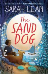 Boy From The Sea (ISBN: 9780008165819)