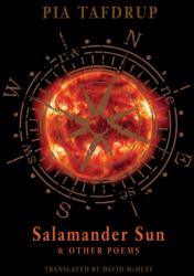 Salamander Sun and Other Poems (ISBN: 9781780371504)