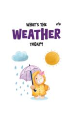 What's The Wheather Today? (ISBN: 9789370031883)