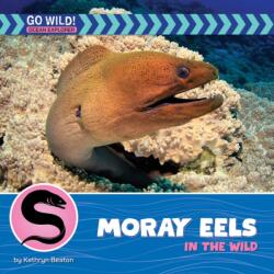 Moray Eels in the Wild (ISBN: 9781668974179)