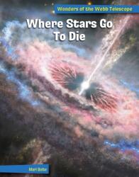 Where Stars Go to Die (ISBN: 9781668939437)