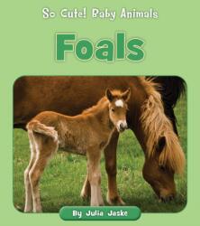 Foals (ISBN: 9781668908815)