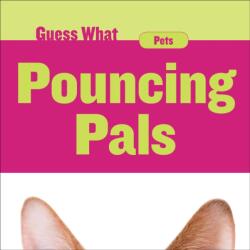 Pouncing Pals (ISBN: 9781634728508)