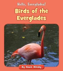 Birds of the Everglades (ISBN: 9781534157132)