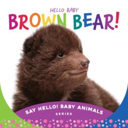 Hello Baby Brown Bear! (ISBN: 9781534112841)