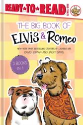 An Big Book of Elvis & Romeo (ISBN: 9798347112364)