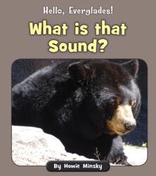 What is that Sound? (ISBN: 9781534157408)