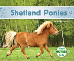 Shetland Ponies (ISBN: 9781532185687)