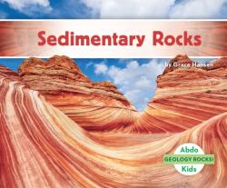 Sedimentary Rocks (ISBN: 9781532185618)