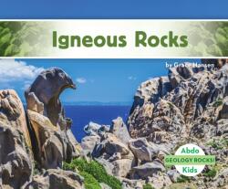 Igneous Rocks (ISBN: 9781532185571)