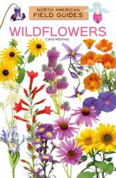 Wildflowers (ISBN: 9781098298975)