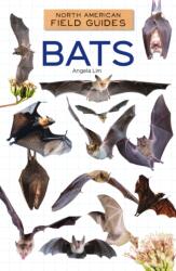 Bats (ISBN: 9781098298944)